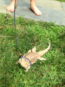 Stop. No you stop. No you. 